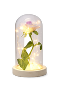 Magical Beauty and the Beast LED Glass Dome Rose