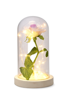 Magical Beauty and the Beast LED Glass Dome Rose