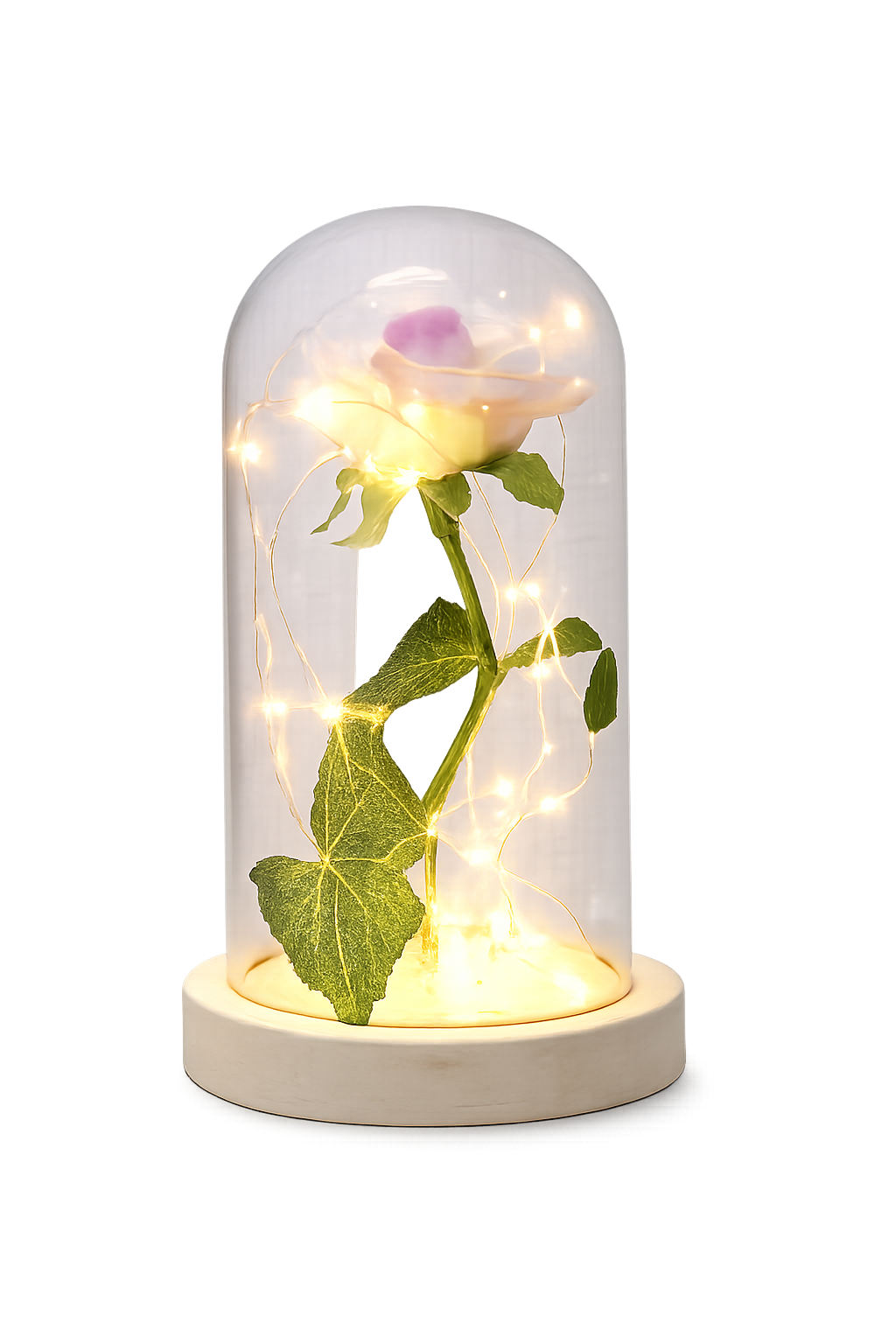 Magical Beauty and the Beast LED Glass Dome Rose