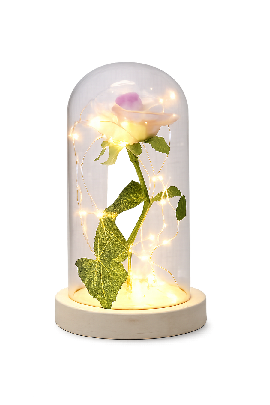 Magical Beauty and the Beast LED Glass Dome Rose