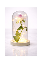Magical Beauty and the Beast LED Glass Dome Rose