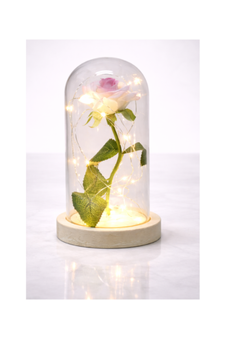 Magical Beauty and the Beast LED Glass Dome Rose